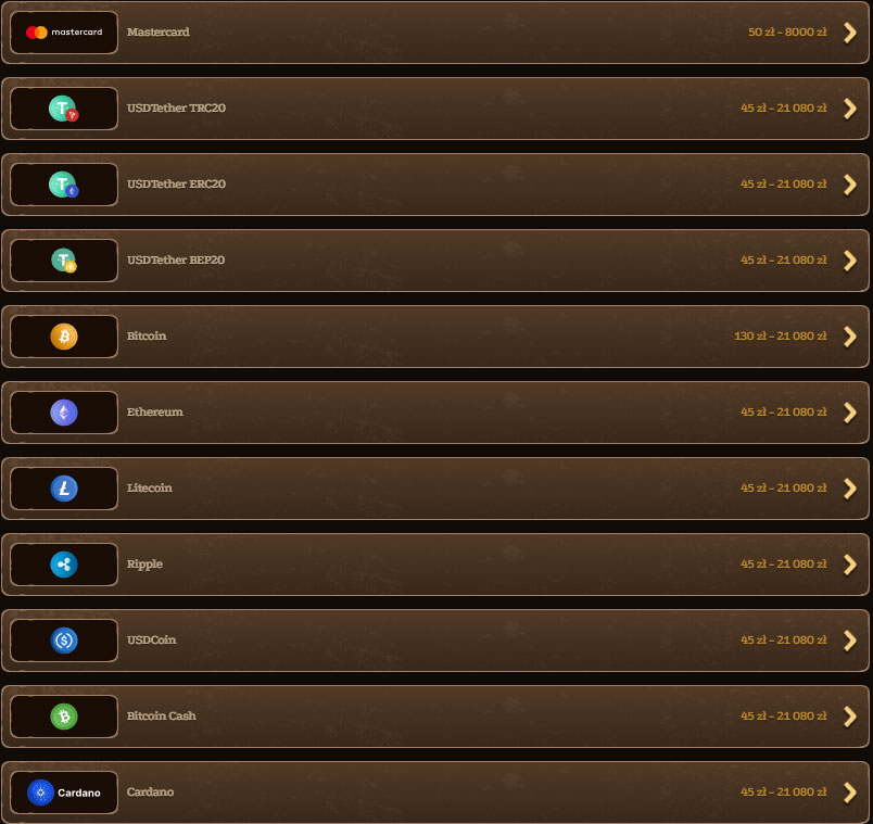 Lizaro-Casino-Payments